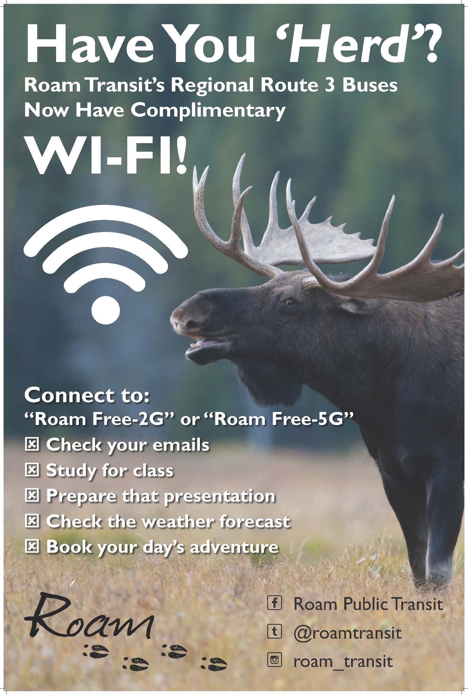 roam wi-fi poster