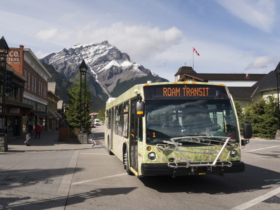Bus driving down Banff Ave
