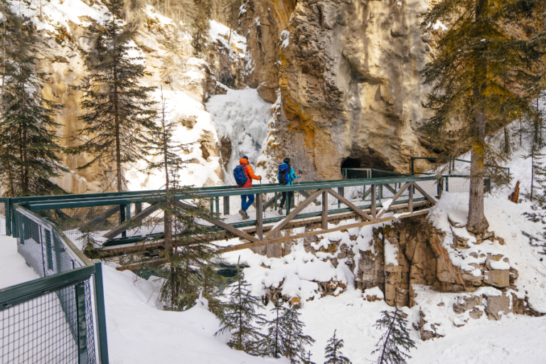 Untitled design - 2024-11-25T141053.126 